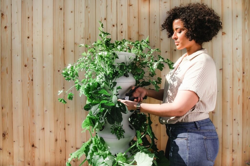 Top Ten Garden Herbs Every Natural Apothecary Needs