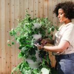 Top Ten Garden Herbs Every Natural Apothecary Needs
