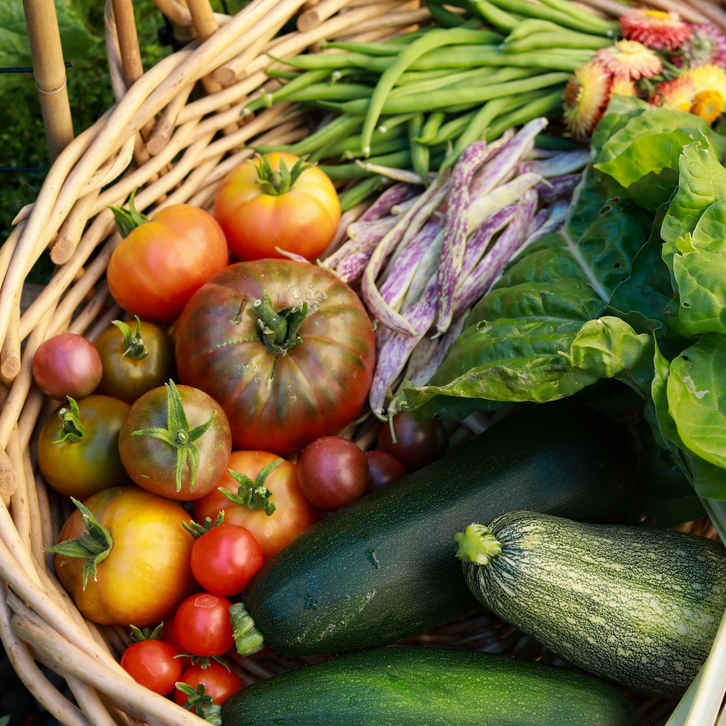 How to Ferment Farm-Fresh Vegetables for Optimal Gut Health